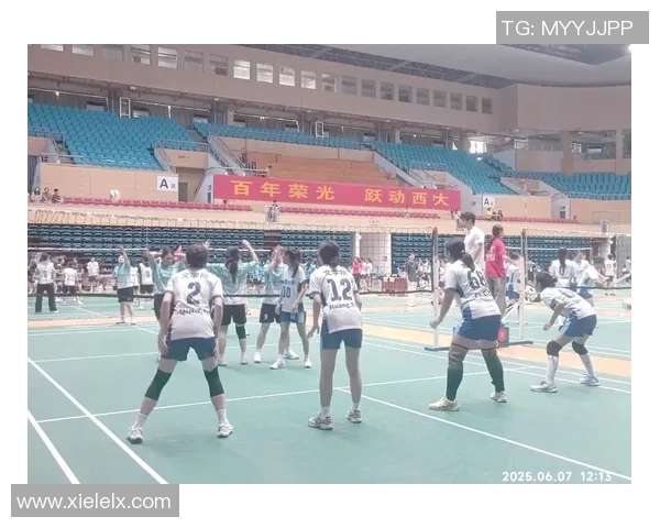 西安排球队在排球团队协作排行榜中荣登第七名展现出卓越的团队精神与实力